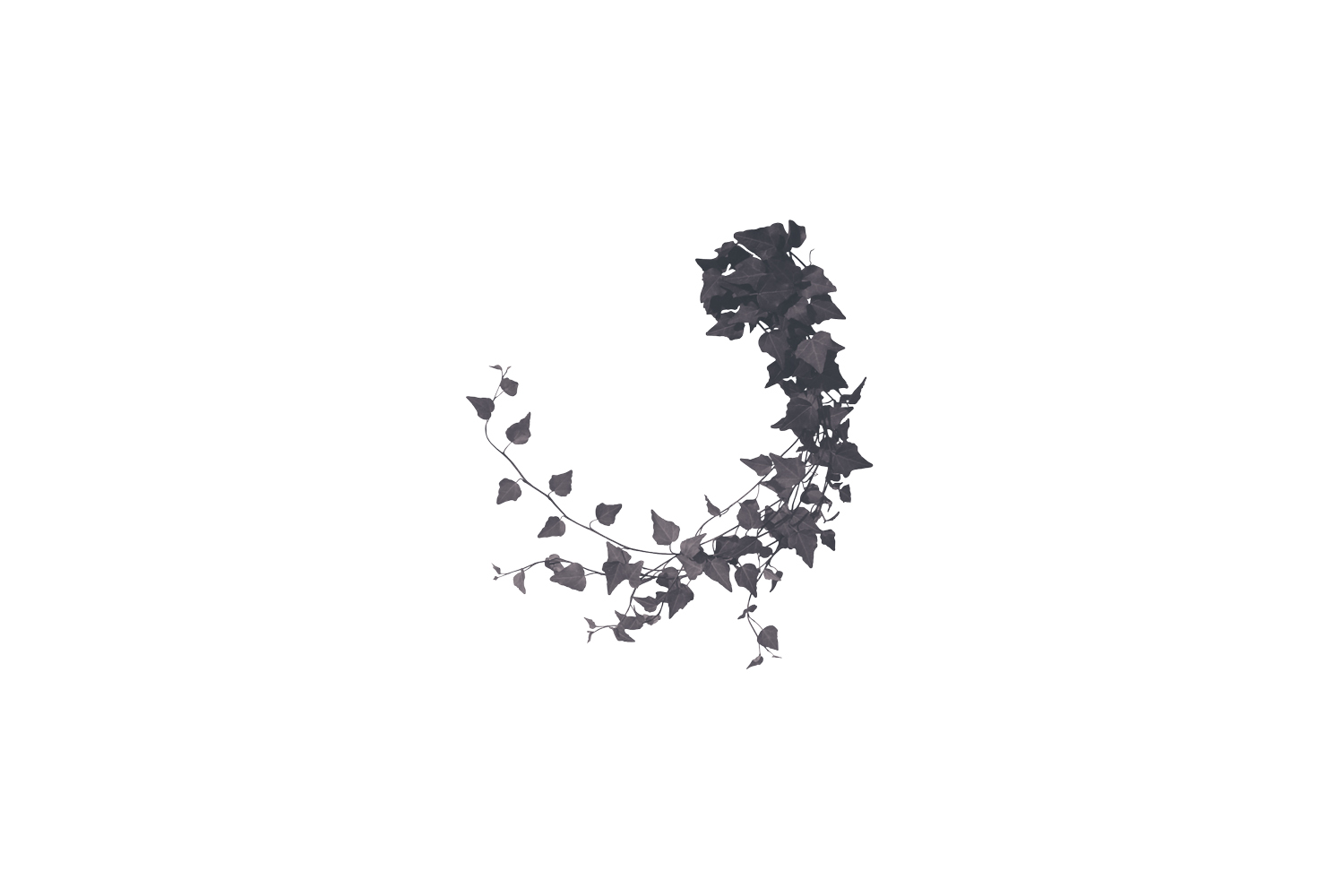 IvyConnection — 4