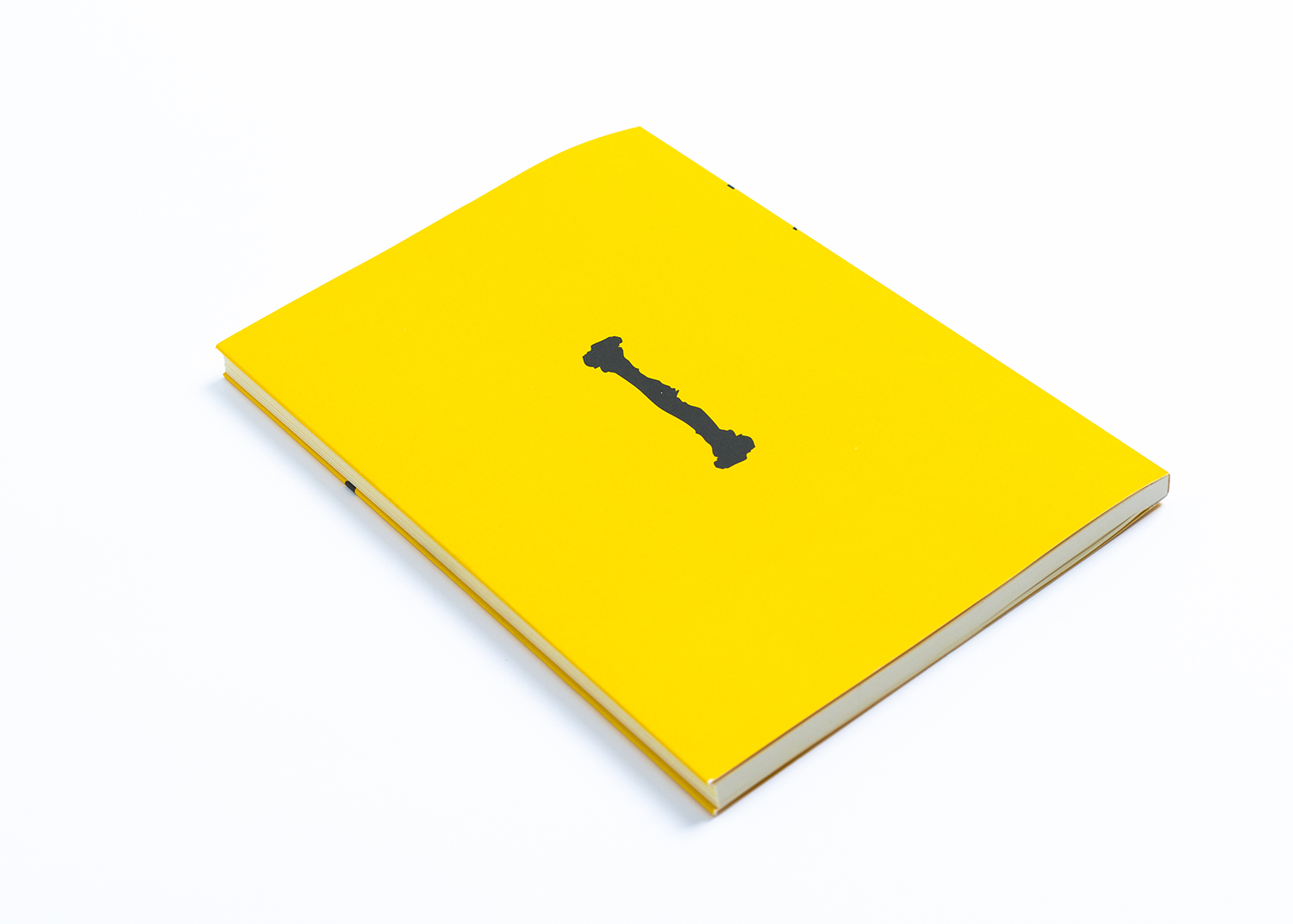 Little Spines — 2