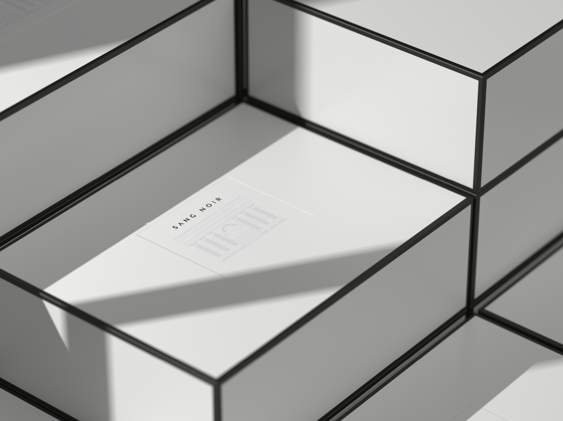 Sang Noir — 26