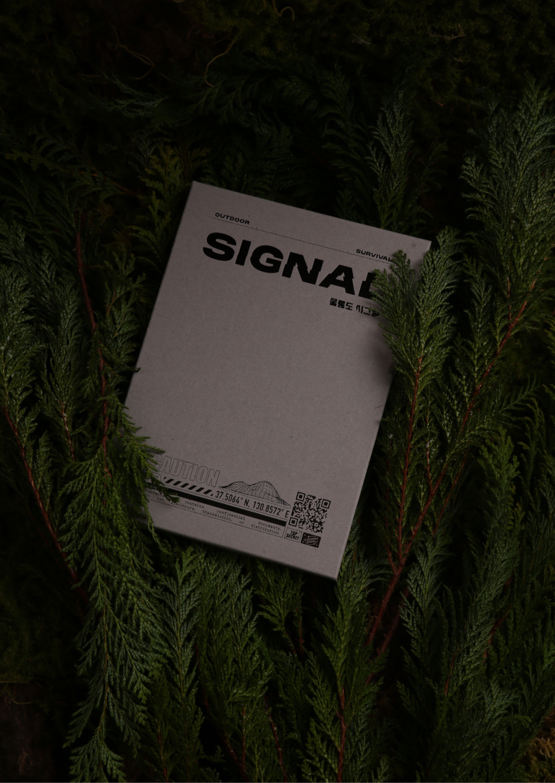 ULLEUNG SIGNAL — 31