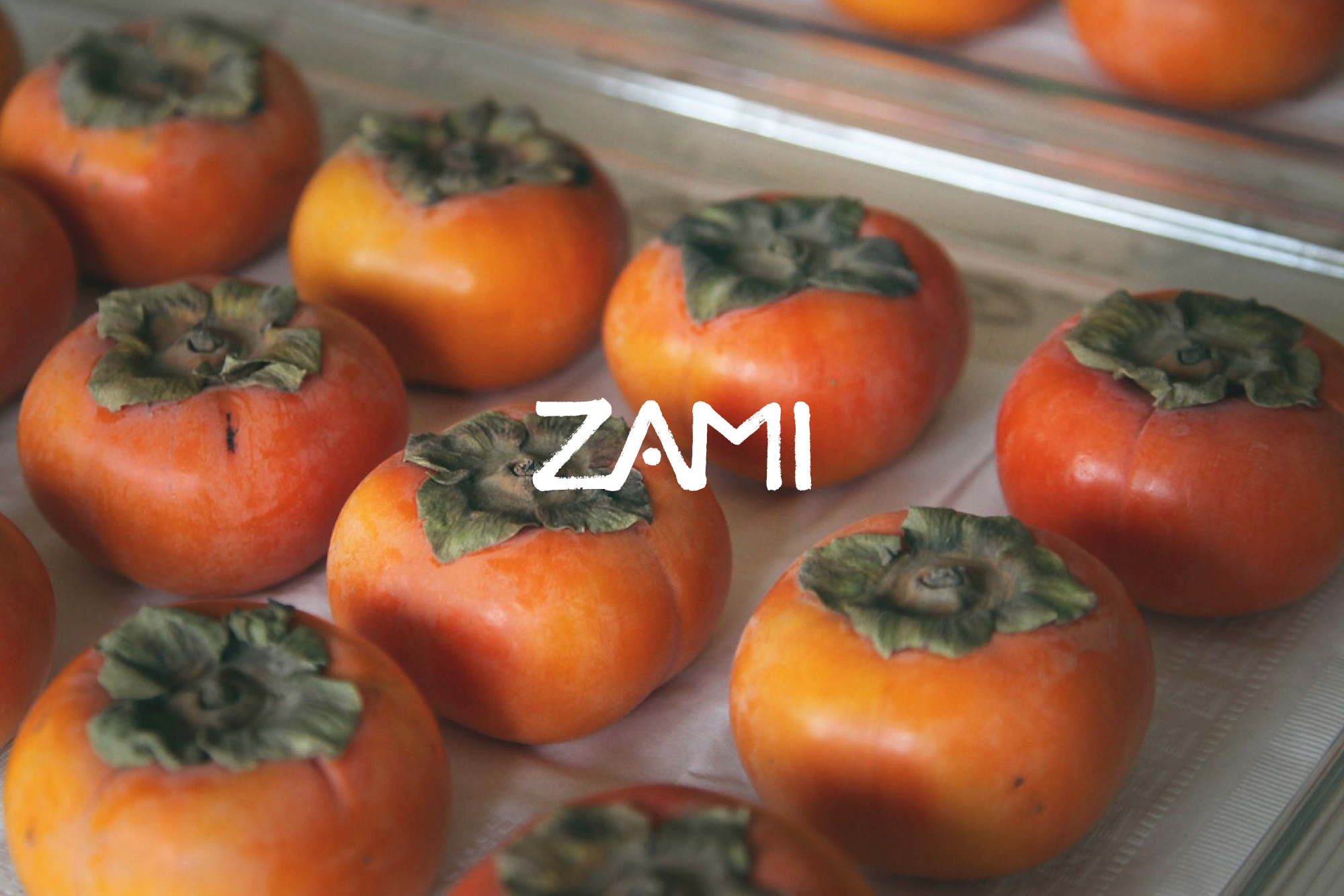 ZAMI — 3